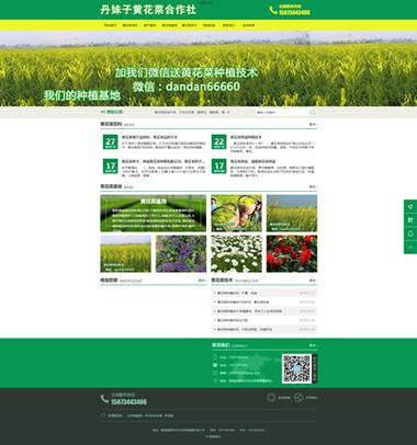 创优建站赋能北京微企业 乐维在线打造高性价比数字门户